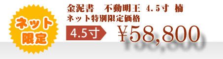 ネット特別限定価格 \58,800