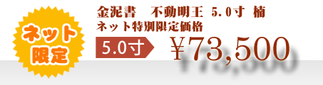 ネット特別限定価格 \73,500
