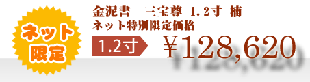 ネット特別限定価格 \128,620