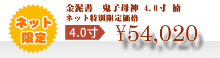 ネット特別限定価格 \54,020