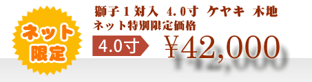 ネット特別限定価格 \42,000