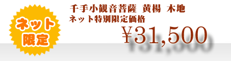 ネット特別限定価格 \31,500