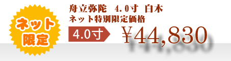 ネット特別限定価格 \44,830