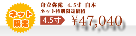 ネット特別限定価格 \47,040