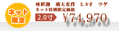 ネット特別限定価格 \74,970
