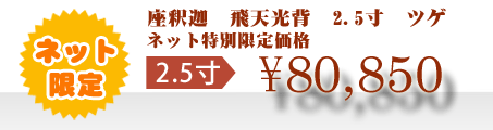ネット特別限定価格 \80,850
