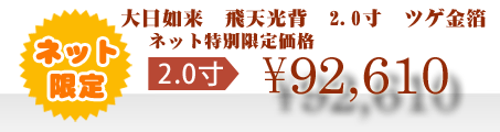ネット特別限定価格 \92,610