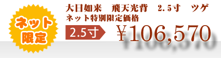 ネット特別限定価格 \106,570