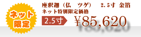 ネット特別限定価格 \85,620