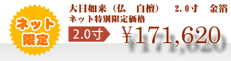 ネット特別限定価格 \171,620