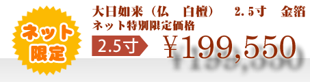 ネット特別限定価格 \199,550