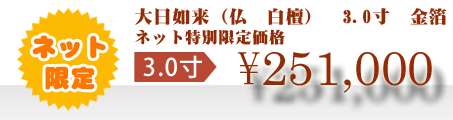ネット特別限定価格 \251,000