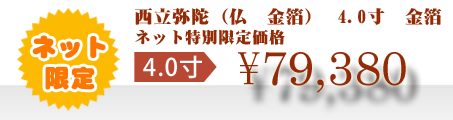 ネット特別限定価格 \79,380
