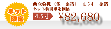 ネット特別限定価格 \82,680