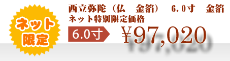 ネット特別限定価格 \97,020