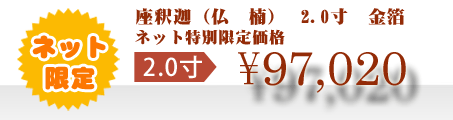 ネット特別限定価格 \97,020