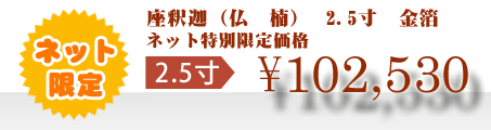 ネット特別限定価格 \102,530