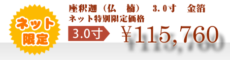 ネット特別限定価格 \115,760
