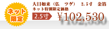 ネット特別限定価格 \102,530