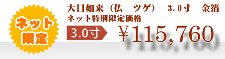 ネット特別限定価格 \115,760