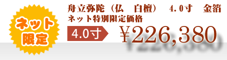 ネット特別限定価格 \226,380