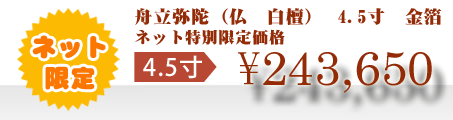 ネット特別限定価格 \243,650