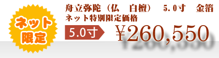 ネット特別限定価格 \260,550