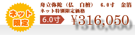 ネット特別限定価格 \316,050