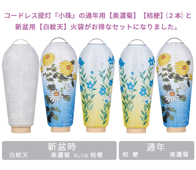 小珠 2本 ＋ 火袋セット（白紋天＆桔梗＆美濃菊）G