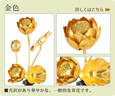 金色 華鋲用：光沢があり華やかな、一般的な常花です。
