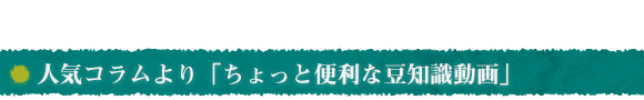 人気コラムより「ちょっと便利な豆知識動画」